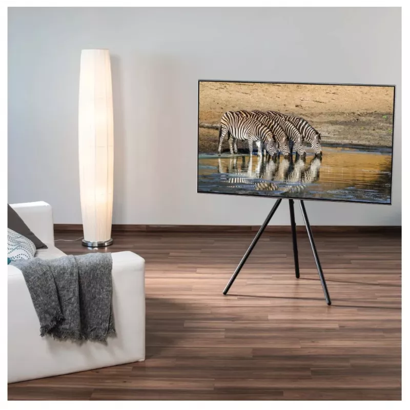 Hama 00220870 TV-Ständer/Standfuß 190,5 cm (75 Zoll) Schwarz