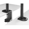 Equip 17 Zoll-32 Zoll Gelenk-Doppelmonitor Tischhalterung