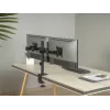 Equip 17 Zoll-32 Zoll Gelenk-Doppelmonitor Tischhalterung
