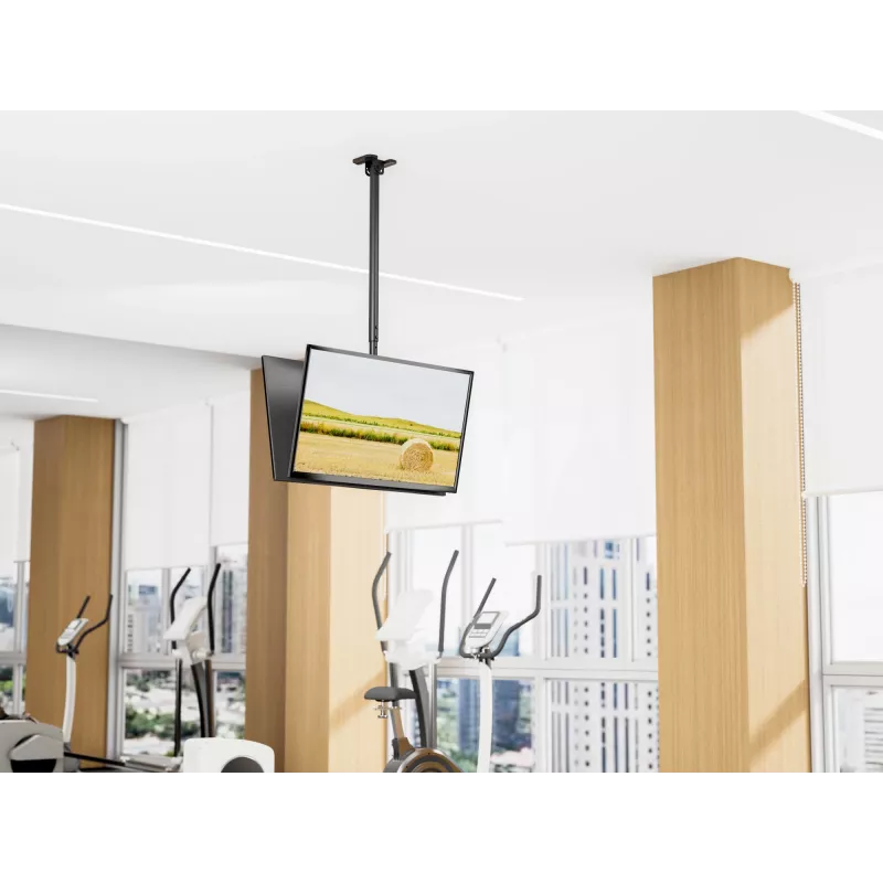 Deckenhalterung Dual Rücken-an-Rücken für 43 Zoll–86 Zoll Bildschirme EQUIP, Neigung -20–5°, Schwenkbereich ±180°, VESA 200x200–600x400, max. Belastung 100 kg, schwarz