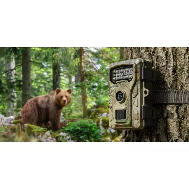 Überwachungskamera Redleaf RF06 RL4380 Standard