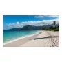 LCD Indoor Display Sharp PN-UN553V 55 Zoll Full HD (1920×1080), IPS, 500 cd/m², 3500:1, VESA
