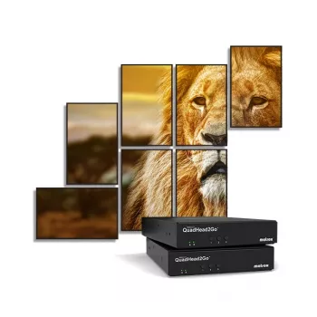 Matrox QuadHead2Go Q155 Multi-Monitor-Controller Appliance / Q2G-H4K2