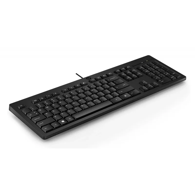 HP 125 Kabelgebundene Tastatur Full-Size USB Membran QWERTY Schwarz