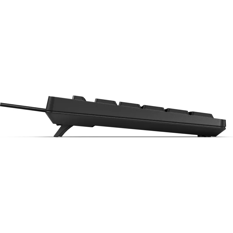 HP 125 Kabelgebundene Tastatur Full-Size USB Membran QWERTY Schwarz