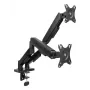ACT Monitorarm 35 Zoll, Gasfeder, 2 Monitore, Essentials, Klemme/Tischdurchführung, 18 kg, 43,2 cm (17 Zoll), 88,9 cm (35 Zoll), 100 x 100 mm, Schwarz