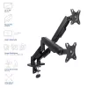 ACT Monitorarm 35 Zoll, Gasfeder, 2 Monitore, Essentials, Klemme/Tischdurchführung, 18 kg, 43,2 cm (17 Zoll), 88,9 cm (35 Zoll), 100 x 100 mm, Schwarz