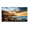 Monitor Samsung QE55T 55 Zoll LED 4K Ultra HD