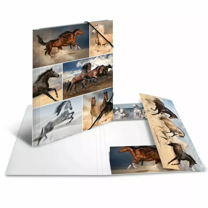 Kartonmappe HERMA 19209 A4 Mehrfarbig