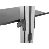 Equip 37 Zoll-70 Zoll Boden-Decken-TV-Halterung Maximale Tragfähigkeit 30 kg