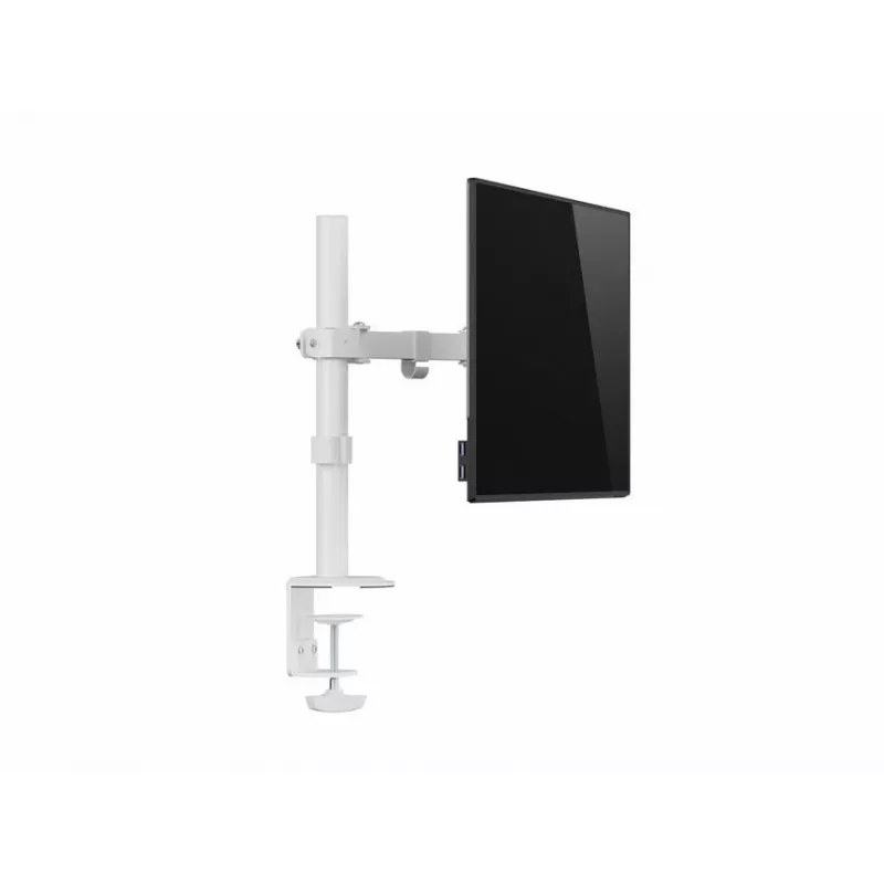 Equip 17 Zoll-32 Zoll Gelenk-Monitor-Tischhalterung, Weiß