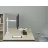 Equip 17 Zoll-32 Zoll Gelenk-Monitor-Tischhalterung, Weiß