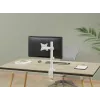 Equip 17 Zoll-32 Zoll Gelenk-Monitor-Tischhalterung, Weiß