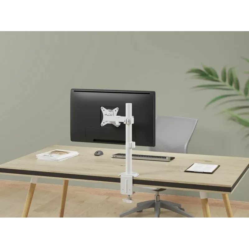 Equip 17 Zoll-32 Zoll Gelenk-Monitor-Tischhalterung, Weiß