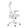 PC-Gaming-Stuhl Asus ROG Destrier Ergo Core White — Mesh-Sitzfläche, maximale Belastung 136 kg, Breite 720 mm, Tiefe 840 mm, Höhe 129–137,5 cm