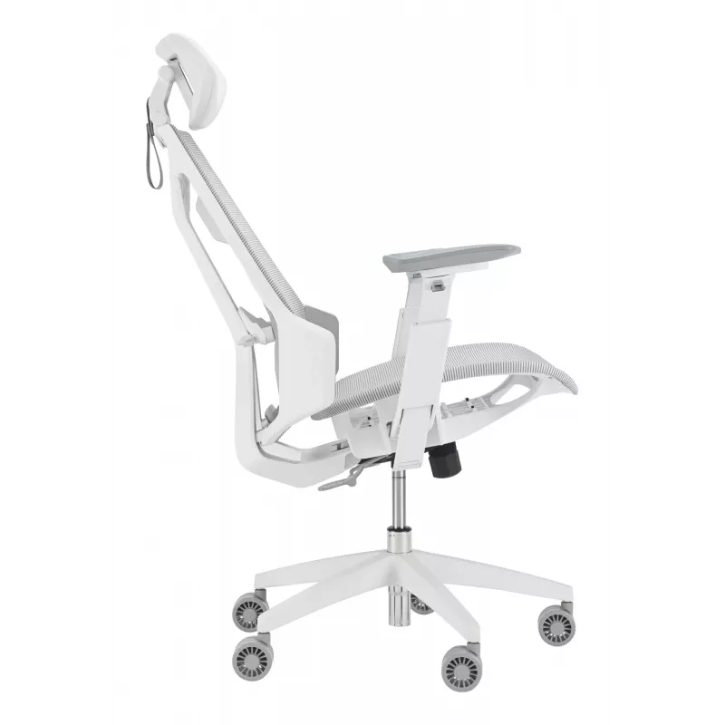 PC-Gaming-Stuhl Asus ROG Destrier Ergo Core White — Mesh-Sitzfläche, maximale Belastung 136 kg, Breite 720 mm, Tiefe 840 mm, Höhe 129–137,5 cm