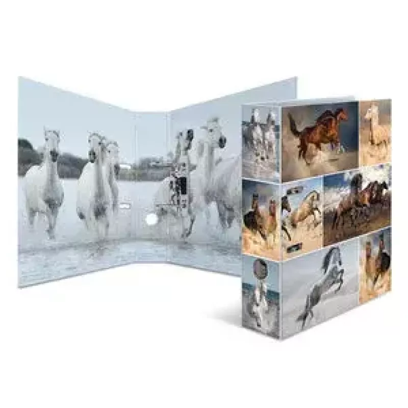 Ringbuch A4 HERMA 7164