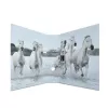 Ringbuch A4 HERMA 7164