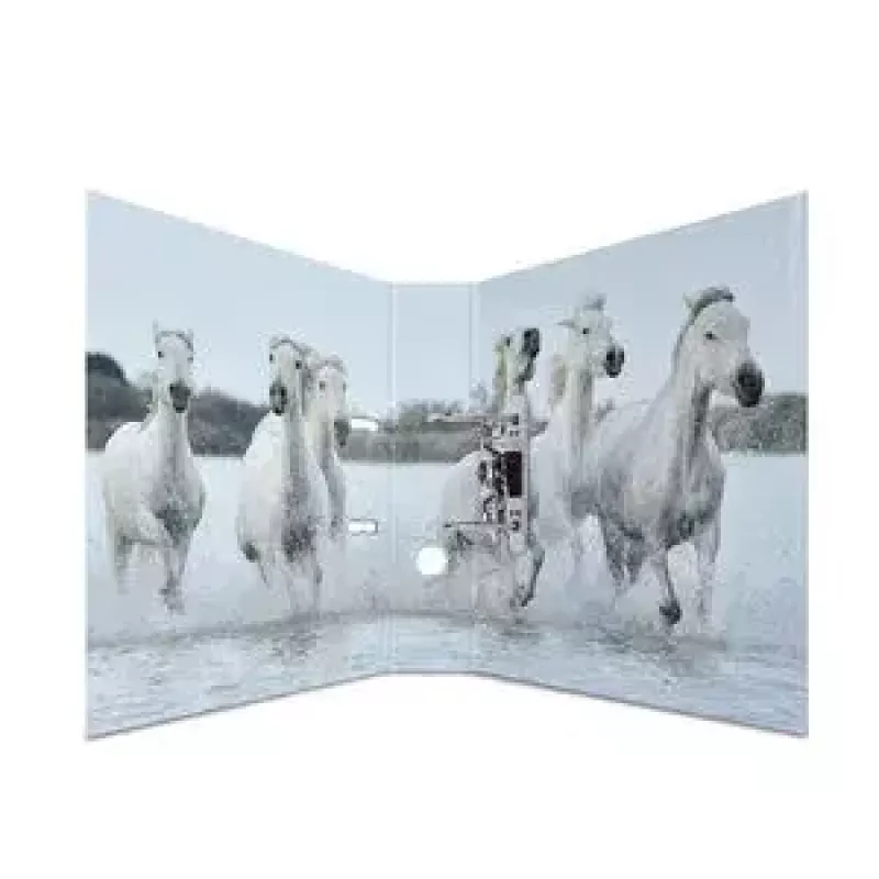 Ringbuch A4 HERMA 7164