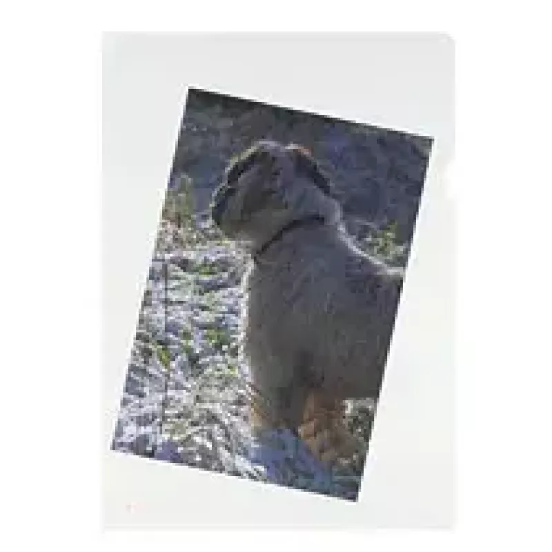 Klarsichthülle Herlitz 10843746 A4