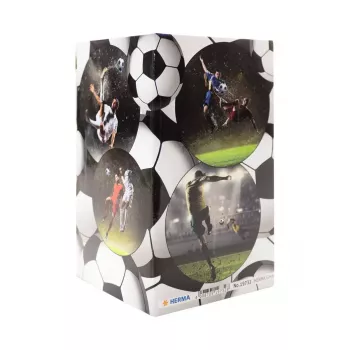Stifteköcher HERMA Stifteköcher Fussball 19732