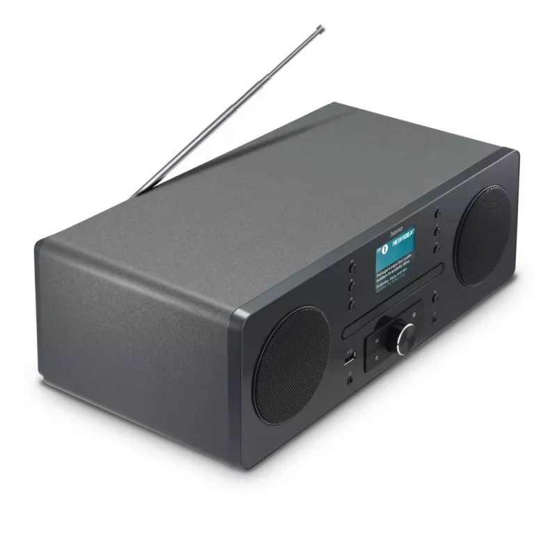 Hama 00054254 Radio Persönlich Digital Schwarz, Grau