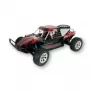 Buggy Amewi Breaker ferngesteuertes RC-Modell 1:10