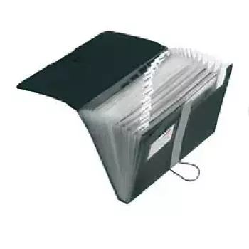 Ordner Herlitz 11208394 Schwarz