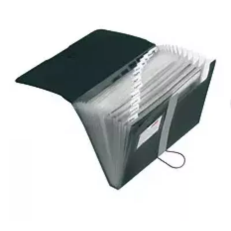 Ordner Herlitz 11208394 Schwarz