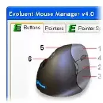 Maus Evoluent VM4S Office USB Type-A