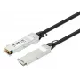 Intellinet 2m 40G QSFP+ passives Direct Attach Kupfer-Twinax-Kabel 30AWG MSA QSFP-H40G-CU2M kompatibel