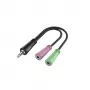 Hama 00200352 Audiokabel 0,15 m 3,5 mm 2 x 3,5 mm Schwarz
