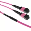 ACT 50 Meter Multimode 50/125 OM4(OM3) Polarität B Glasfaser-Trunkkabel mit 2 MTP/MPO-Buchsen an jedem Ende