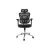 Ergonomischer Bürostuhl EQUIP 651053 mit Kopfstütze und Armlehnen, Mesh-Rücken, gepolsterter Sitz, höhenverstellbar 117–135 cm, Breite 660 mm, schwarz