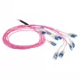 ACT 45 Meter Multimode 50/125 OM4 vorkonfektioniertes Glasfaserkabel 24F LC Polarity Twist