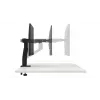 Monitorhalterung DELL MSA20 96,5 cm Schreibtisch Schwarz höhenverstellbar