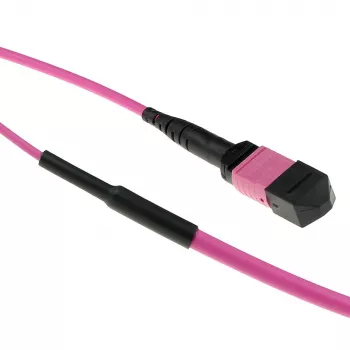 ACT 30 Meter Multimode 50/125 OM4(OM3) Polarität A Glasfaser-Trunkkabel mit MTP/MPO-Buchsen