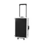 Trolley-Case Roadinger 30122087 Sperrholz Schwarz Silber Schallplatten