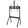 Peerless Paramount 190,5 cm (75 Zoll) Boden Schwarz