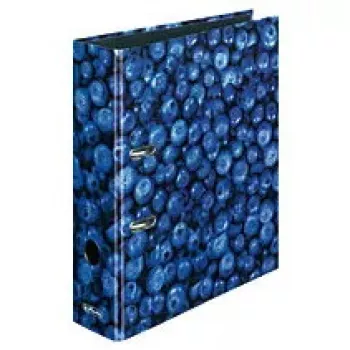 Ringbuch Herlitz 11080660 A4 Mehrfarbig