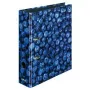 Ringbuch Herlitz 11080660 A4 Mehrfarbig