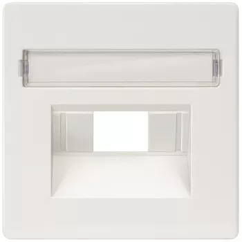 Siemens 5TG2546 Wandplatte/Schalterabdeckung
