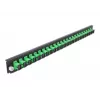 Splicebox Frontblende DeLOCK 19 Zoll 24 Port SC Simplex grün
