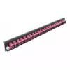 Spleißbox-Frontplatte DeLOCK 19 Zoll 24 Port SC Simplex violett