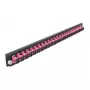 Spleißbox-Frontplatte DeLOCK 19 Zoll 24 Port SC Simplex violett