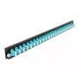 Splice Box Frontblende DeLOCK 19 Zoll 24 Port LC Duplex Aqua