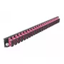 Splice Box Frontblende DeLOCK 19 Zoll 24 Port SC Duplex violett