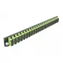 Spleißbox-Frontplatte DeLOCK 19 Zoll 24 Port SC Duplex limettengrün