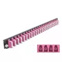 Splice-Box-Frontplatte DeLOCK 19 Zoll 24 Port LC Quad violett