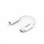 Hama 00201524 Audiokabel USB C 3,5 mm Weiß